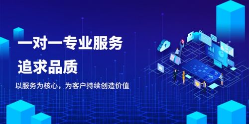 技术与创新 赣州星回网络科技引领小程序、App、软件与区块链开发